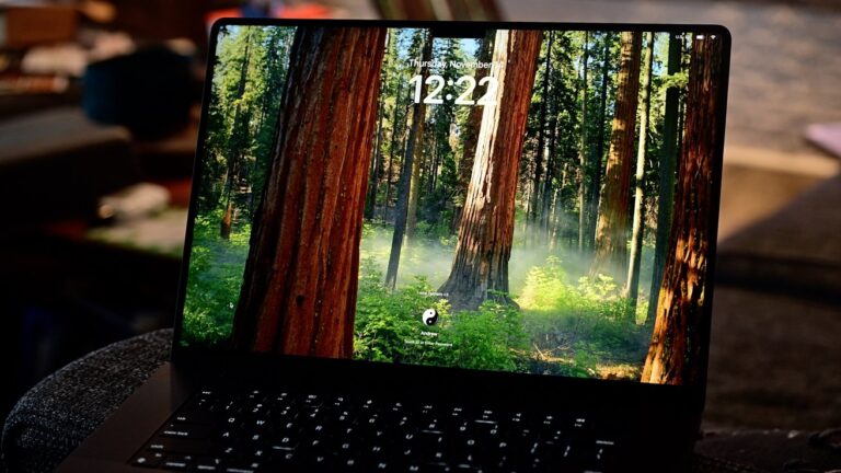 61811-127939-Display-with-Screensaver-xl