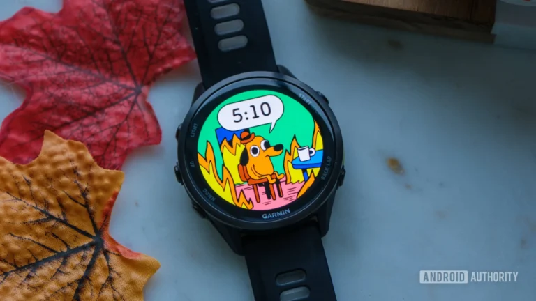 Garmin-This-Is-Fine-Watch-Face-time.jpg